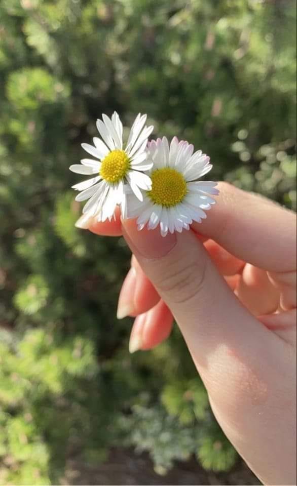 Çiğdem Dönmez KENT VİZYON